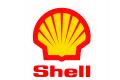 Будьте первыми во всем вместе с SHELL